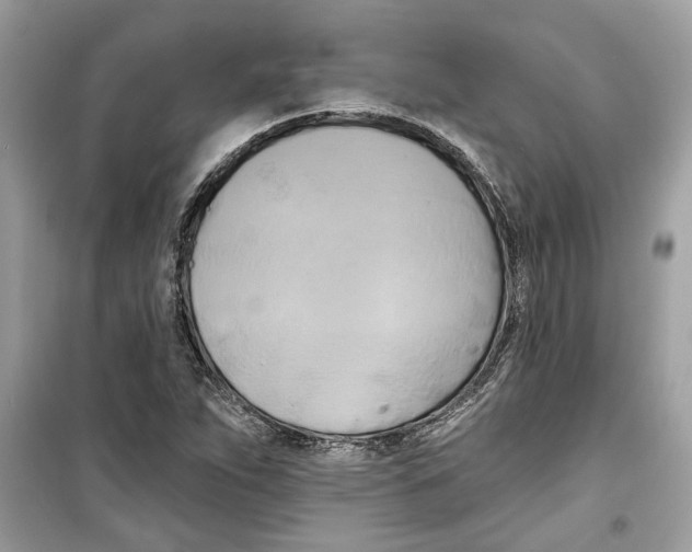 X0000098211263200805221619