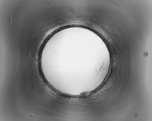 X0000098211264200805221619