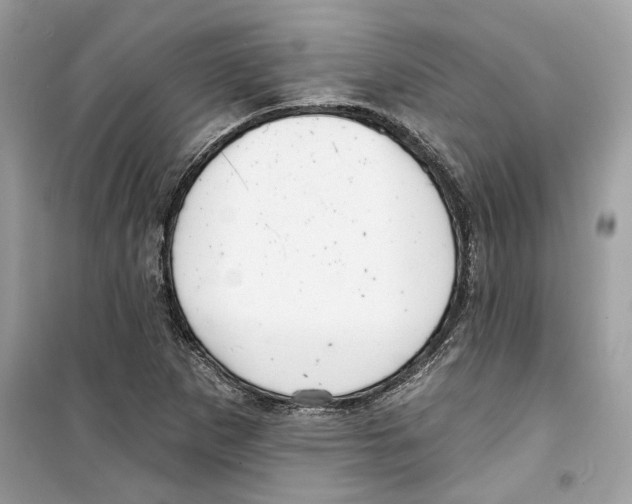 X0000098211265200805221619