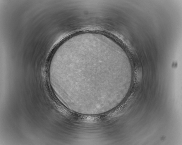 X0000098211266200805221619