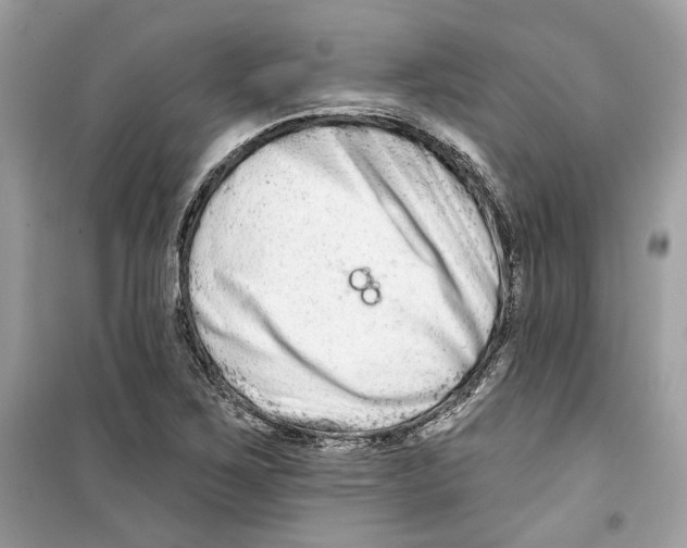 X0000098211267200805221619