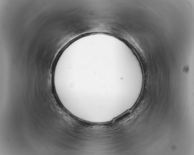 X0000098211268200805221619