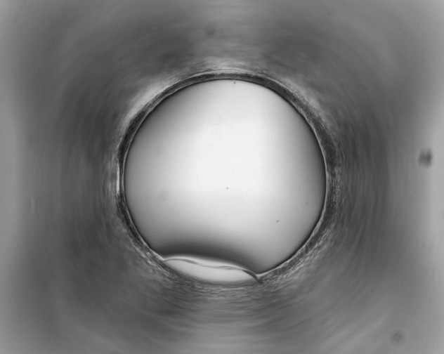 X0000098211269200805221619