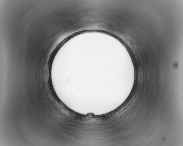 X0000098211270200805221619