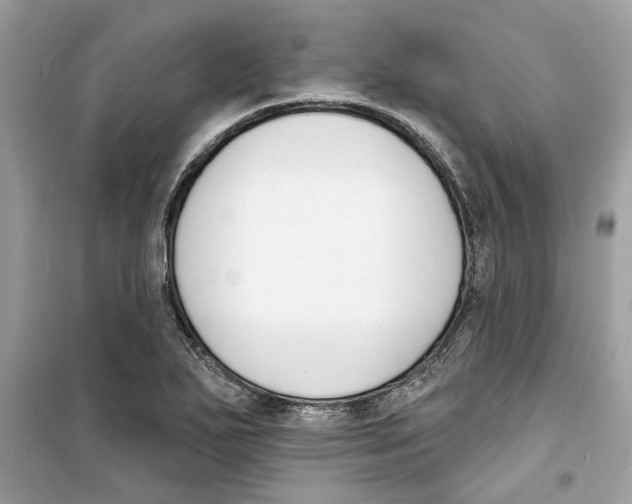 X0000098211271200805221619