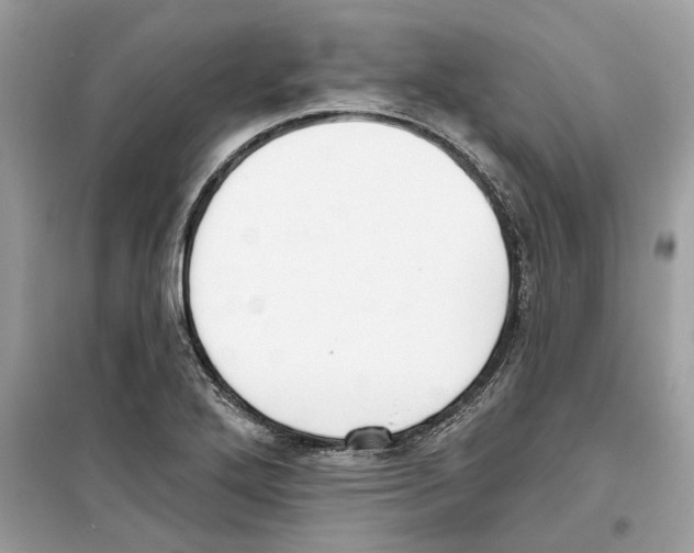 X0000098211272200805221619