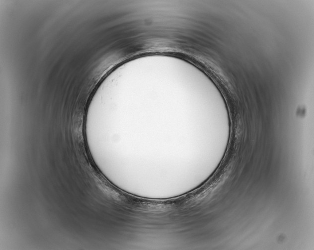 X0000098211273200805221619