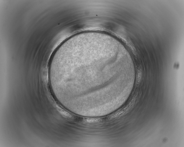 X0000098211274200805221619