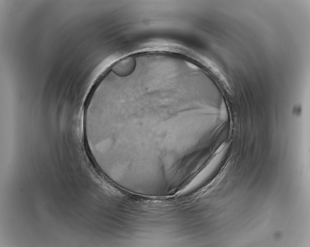 X0000098211275200805221619