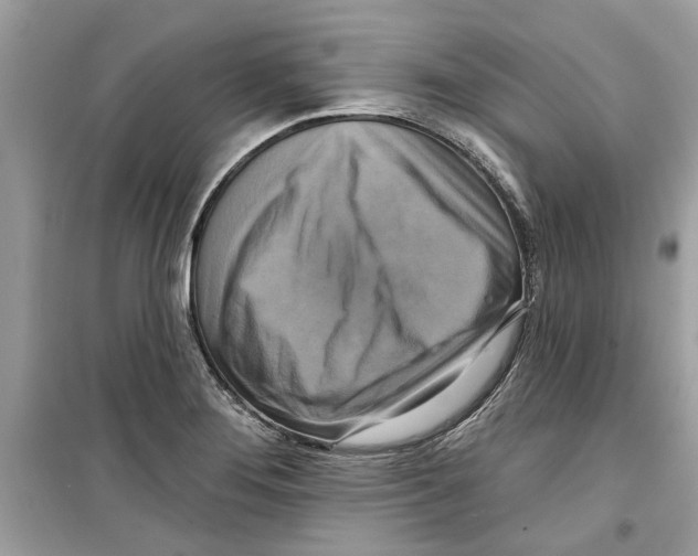X0000098211276200805221619