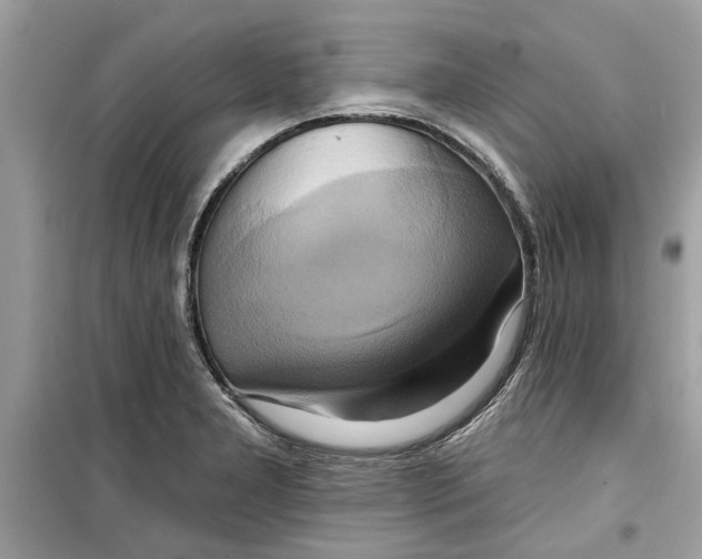 X0000098211277200805221619