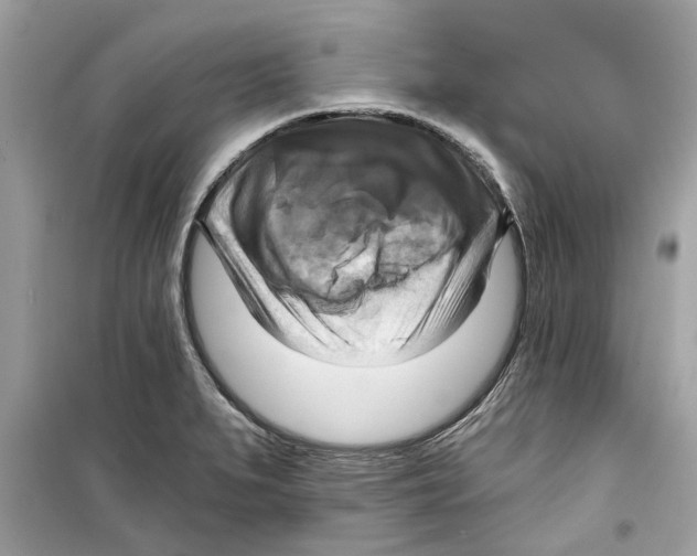 X0000098211279200805221619