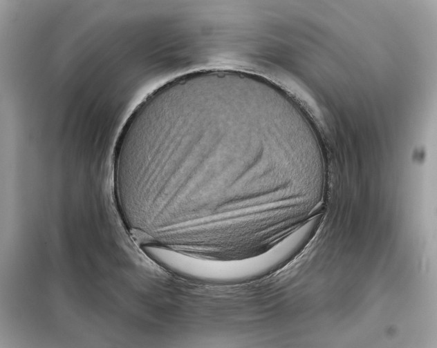 X0000098211280200805221619