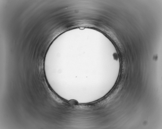 X0000098211281200805221619