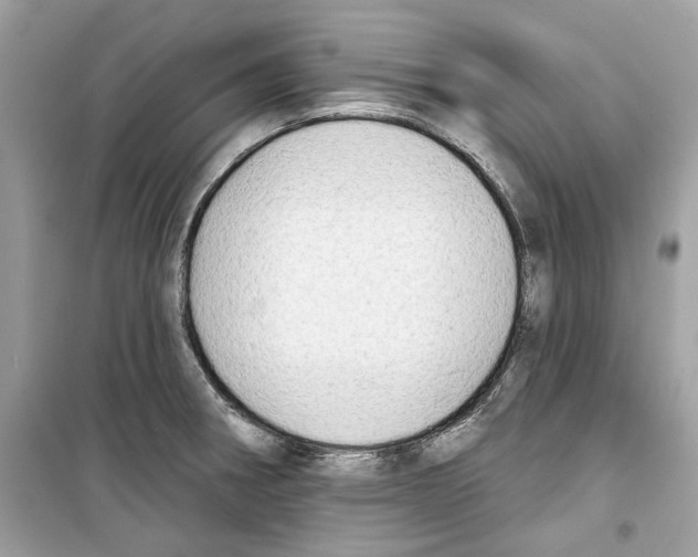 X0000098211282200805221619