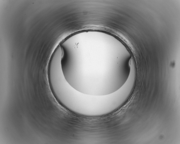 X0000098211283200805221619