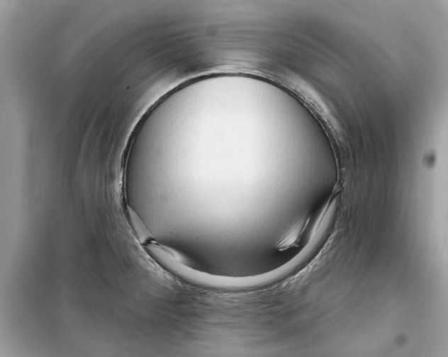 X0000098211284200805221619