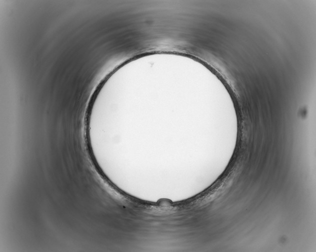 X0000098211285200805221619