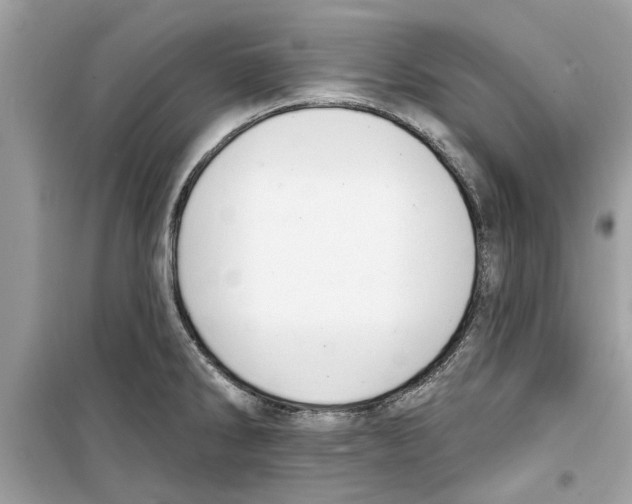 X0000098211286200805221619