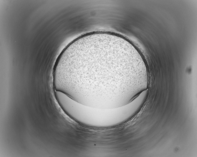 X0000098211287200805221619