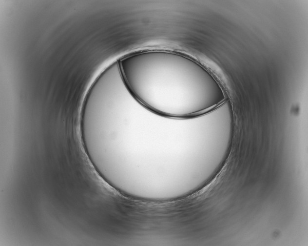 X0000098211288200805221619