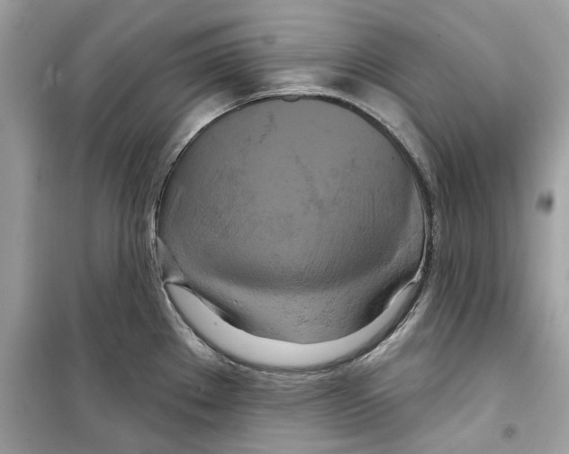 X0000098211289200805221619
