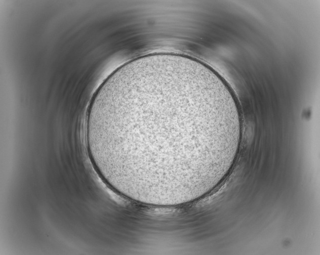 X0000098211290200805221619