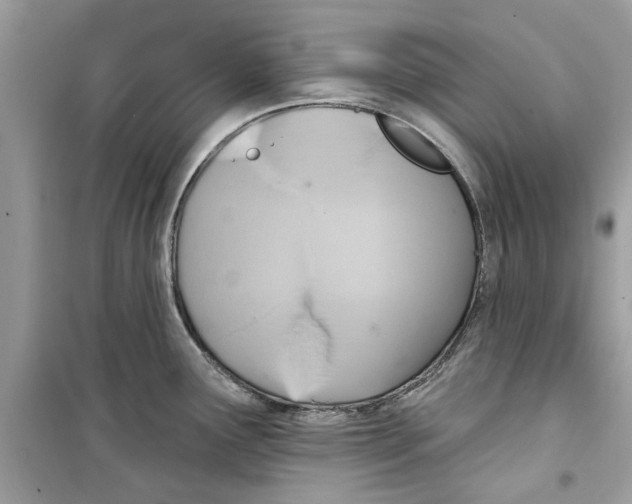 X0000098211291200805221619