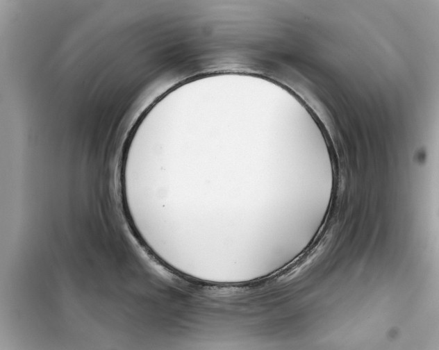 X0000098211293200805221619