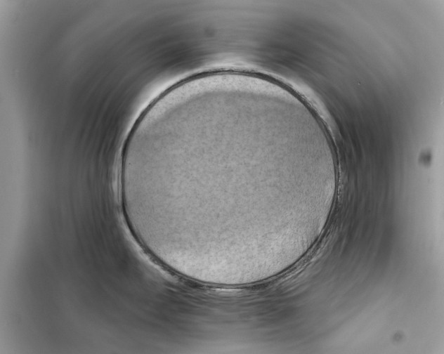 X0000098211295200805221619