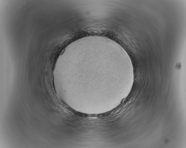 X0000098211297200805221618