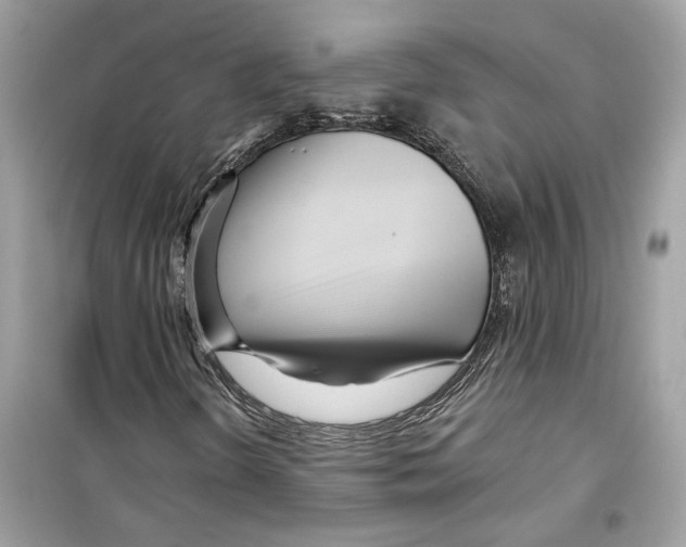 X0000098211298200805221618