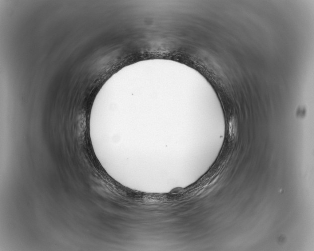 X0000098211299200805221618