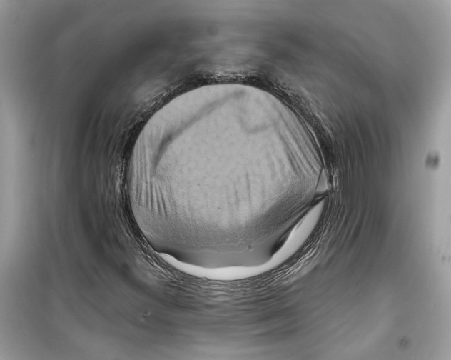 X0000098211300200805221618