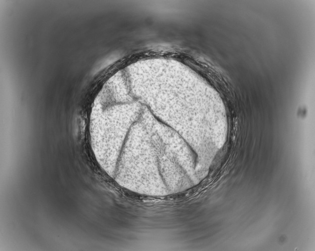 X0000098211302200805221618