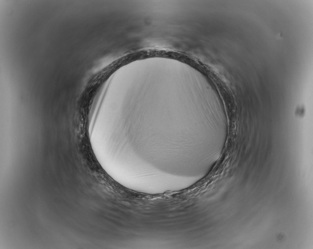 X0000098211303200805221618