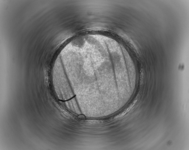 X0000098211305200805221618