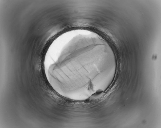 X0000098211306200805221618