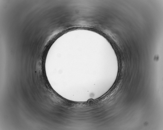 X0000098211307200805221618