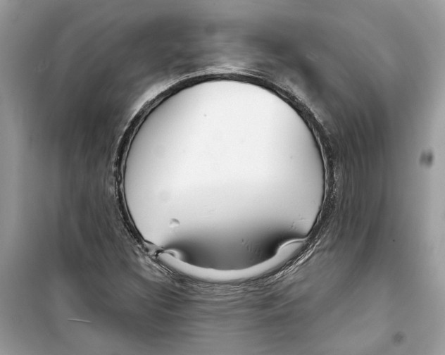 X0000098211308200805221618