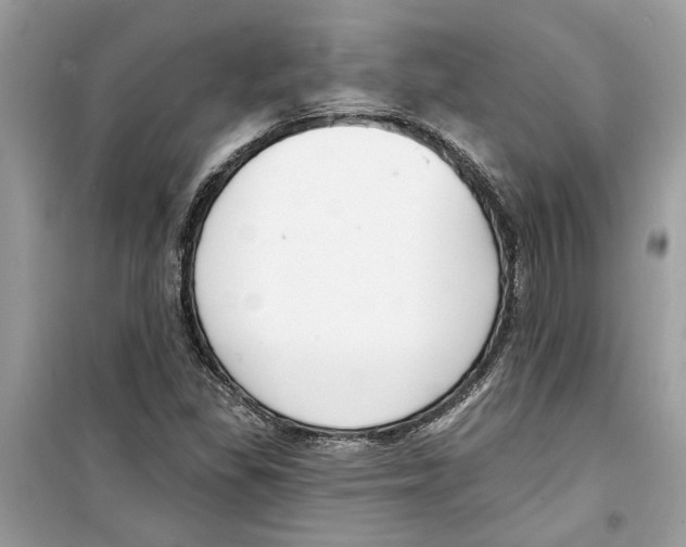 X0000098211309200805221618