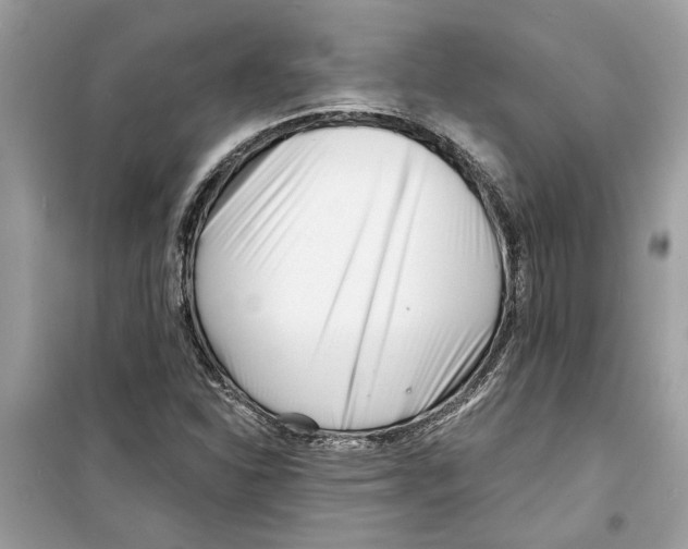 X0000098211310200805221618