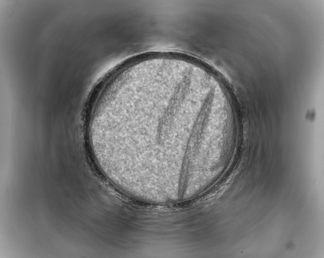 X0000098211311200805221618