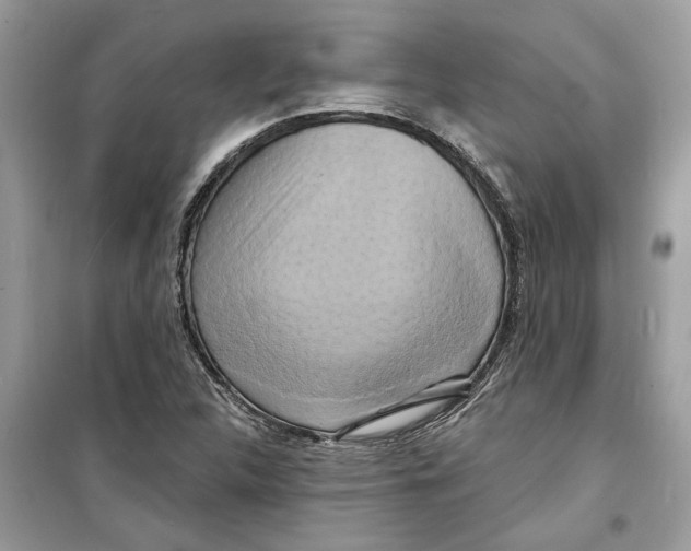 X0000098211312200805221618