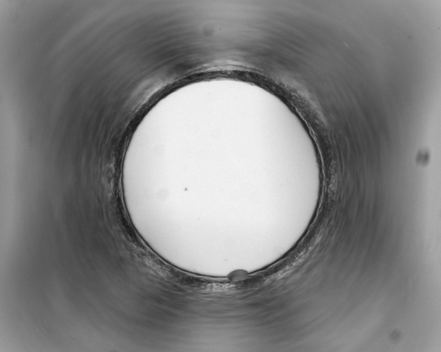X0000098211313200805221618