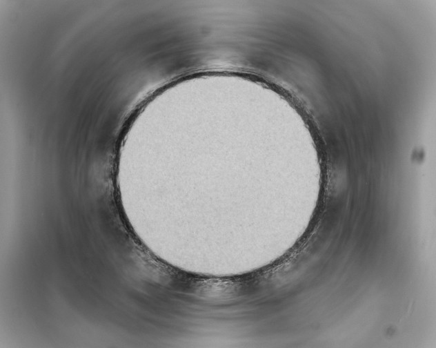 X0000098211314200805221618