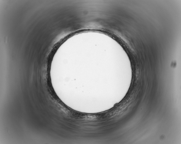 X0000098211315200805221618