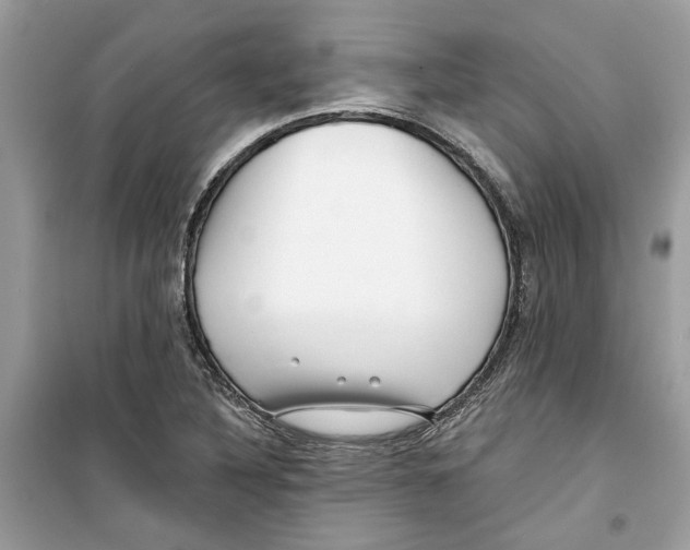 X0000098211316200805221618