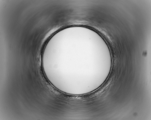 X0000098211317200805221619