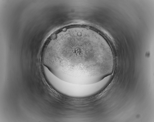 X0000098211318200805221619